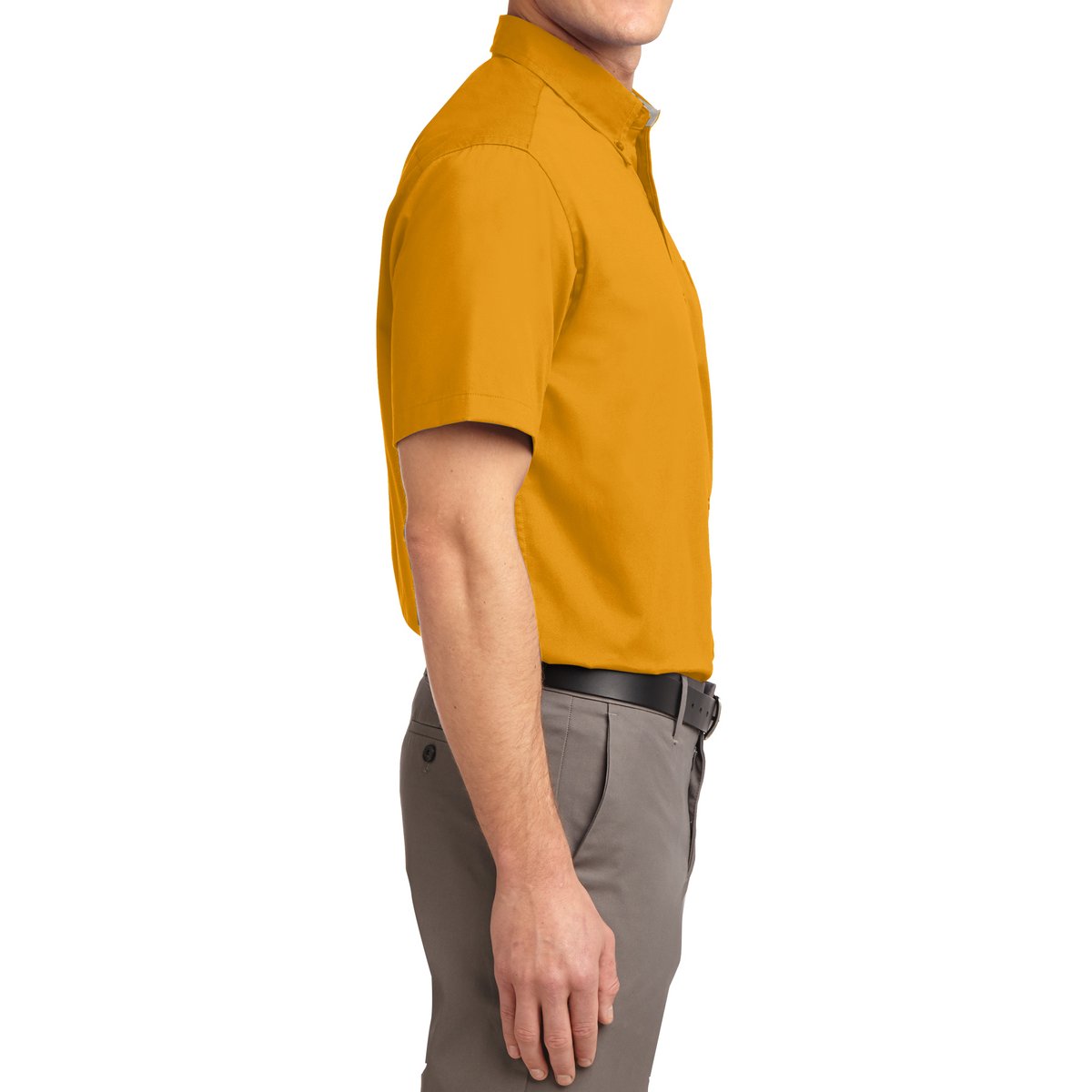 Men's Short Sleeve Wrinkle Resistance Easy Care Button Down Collar Shirt